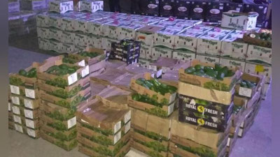 '​Namanganda Italiya olmasi'ning rasmi