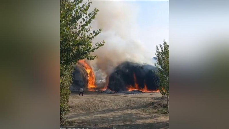 'Андижондаги пахта хирмонида ёнғин чиқди (видео)'ning rasmi