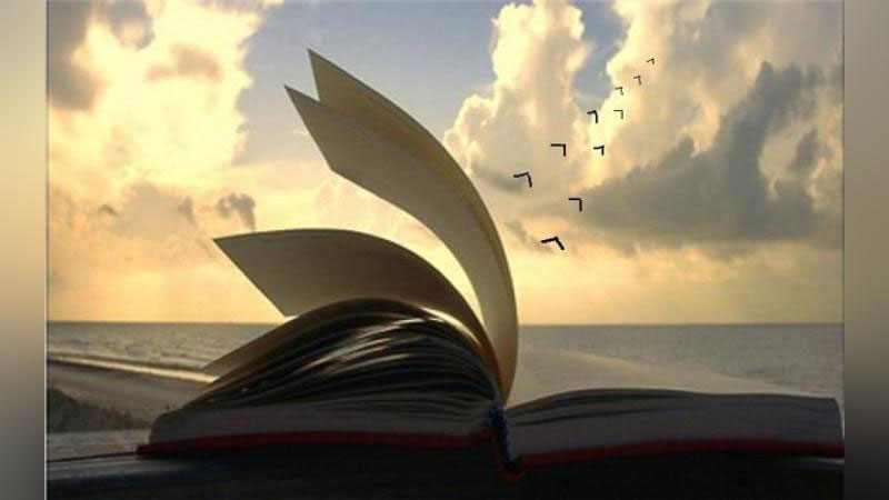 'Hikmat izlaganga: O`G`LON'ning rasmi