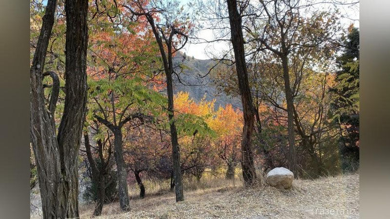 '2023 yil noyabr oyi O`zbekiston tarixidagi eng issiq davr sifatida rekord o`rnatdi'ning rasmi