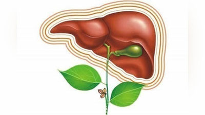 'Жигарни мустаҳкамловчи малҳамлар'ning rasmi