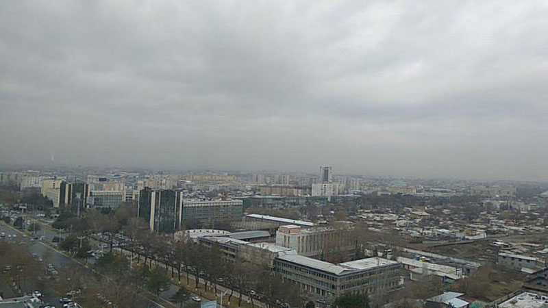 Изрображение 'В Ташкенте возможен дождь: погода на 18 января'