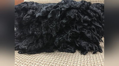 '"Qizil" yo`lakdan yashirincha olib o`tilayotgan qorako`l terilari ushlanib qolindi'ning rasmi