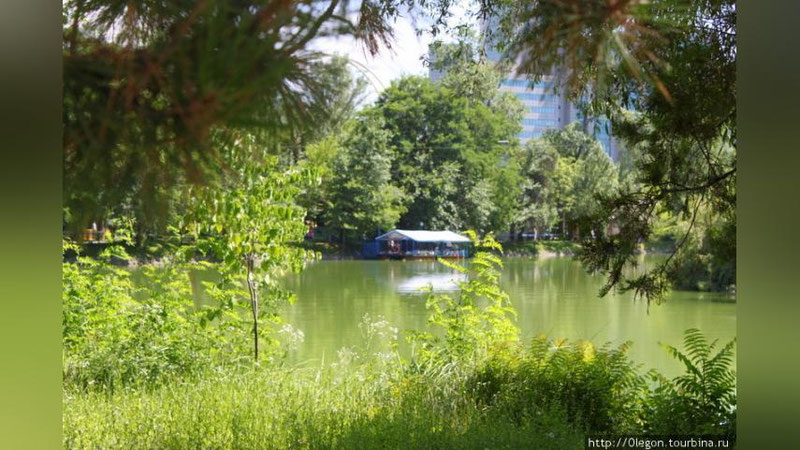 Изрображение 'ПРОГНОЗ НА 7 ИЮЛЯ: В ТАШКЕНТЕ ЕЩЕ НЕМНОГО "ПОТЕПЛЕЕТ"'