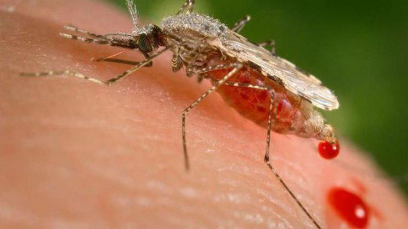 'Ҳиндистонда дам олиб қайтган россиялик аёл безгакдан вафот этди'ning rasmi