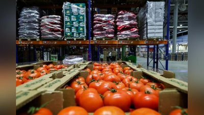 'Rossiya Farg`ona viloyatidan kiradigan sabzavotlarga ta`qiqni qisman bekor qildi'ning rasmi