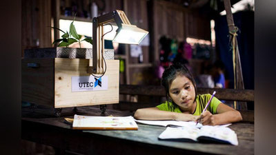 'O`SIMLIKLAR QUVVATI BILAN IShLAYDIGAN ChIROQLAR YaRATILDI'ning rasmi