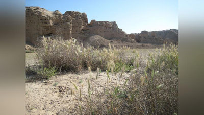 Изрображение 'Гостей Недели наследия ждет ошеломляющее открытие'