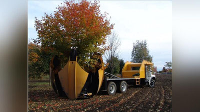 'BUTUN BOShLI DARAXTLARNI KO`ChIRUVChI MAShINA'ning rasmi