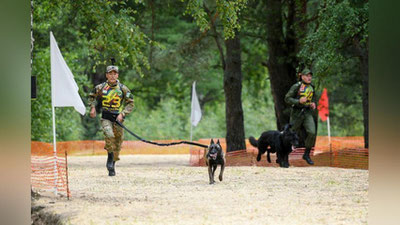 'O`zbekiston jamoasi yana bitta xalqaro tanlovda kuchli uchlikdan joy olmoqda'ning rasmi