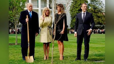 'Tramp va Makron tomonidan ekilgan do`stlik daraxti qurib qoldi'ning rasmi