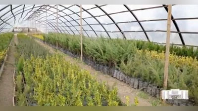 Изрображение 'ТУРЦИЯ ПОДАРИЛА ТАШКЕНТУ 30 ТЫСЯЧ САЖЕНЦЕВ (ВИДЕО)'