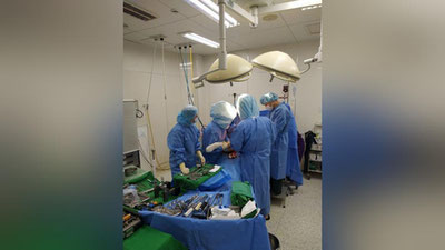 'Buxorolik 7 bemor Koreyada operasiya qilindi...'ning rasmi