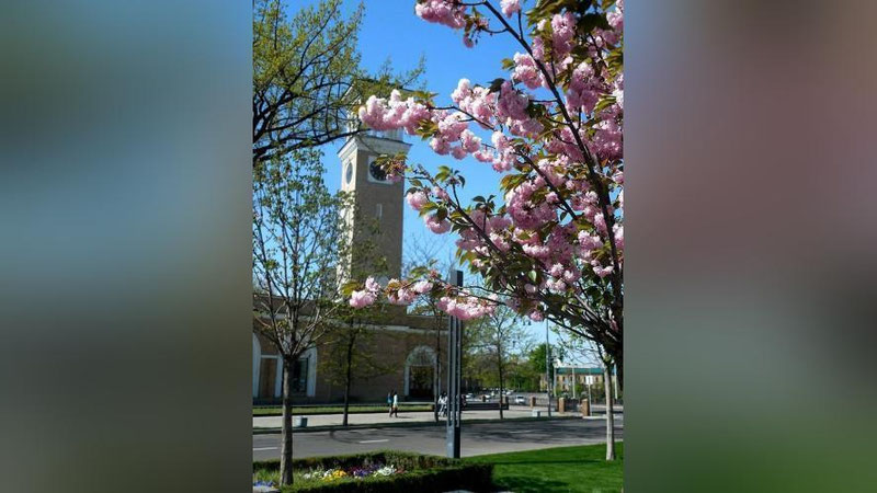 'Bugungi bayramni haqiqiy bahor havosi ostida nishonlaymiz'ning rasmi