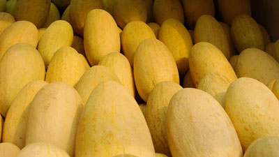 Image of 'Four Uzbekistan citizens attempted to illegally cross the Russian border hidden among melons (video).'