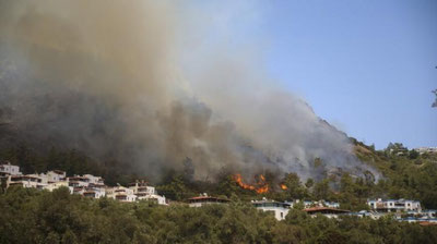 Изрображение 'Крупный лесной пожар вспыхнул у аэропорта Бодрума в Турции (видео)'