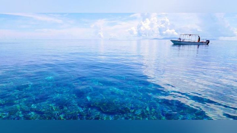 'Tinch okeani mintaqasida yangi ittifoq tuzildi'ning rasmi