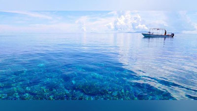 'Тинч океани минтақасида янги иттифоқ тузилди'ning rasmi