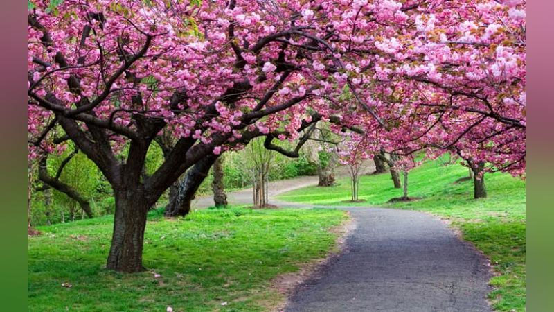 'Bugun ba`zi joylarda havo 34°gacha isiydi'ning rasmi