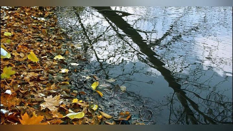 '1 noyabr kuni kutilayotgan ob-havo ma`lumoti'ning rasmi