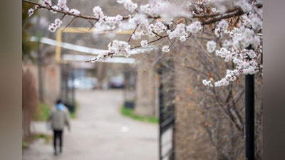 'Bugun ayrim joylarda yomg`ir yog`ib, momaqaldiroq bo`lishi mumkin'ning rasmi