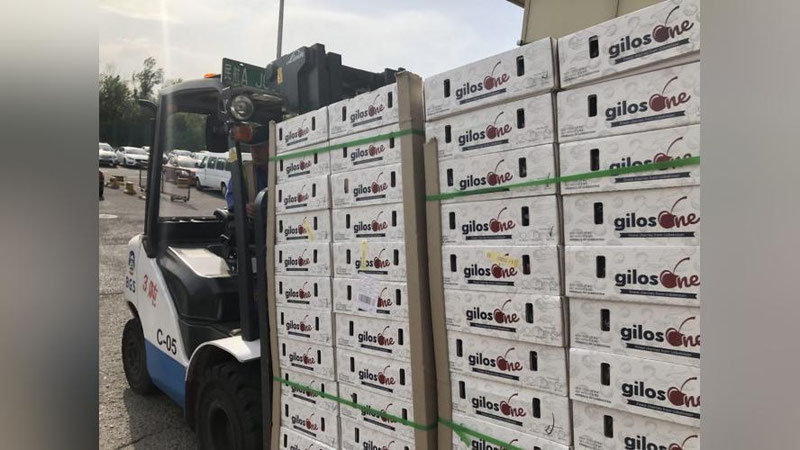 'O`zbekiston gilosi ilk bor Xitoyga eksport qilindi (foto)'ning rasmi