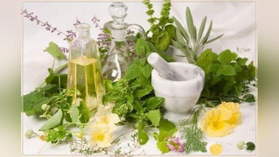 'Мадад-шифо: МАРМАРАКНИНГ ДОРИВОР ХУСУСИЯТИ'ning rasmi