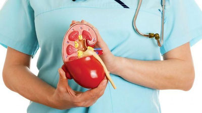 'Буйрак кистаси – унинг давоси операциями?'ning rasmi