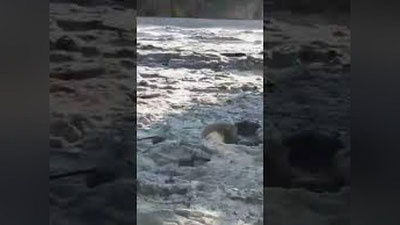 'Meksikani muz va qor qopladi (Video)'ning rasmi