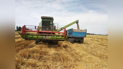 'Sirdaryo viloyati don sotish rejasini ortig`i bilan bajardi'ning rasmi