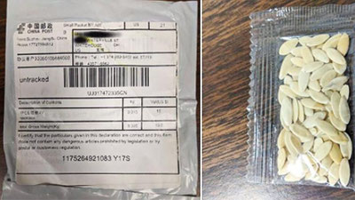 'To`rt mamlakatda yuzlab odamlarga Xitoydan pochta orqali sirli urug`lar keldi'ning rasmi