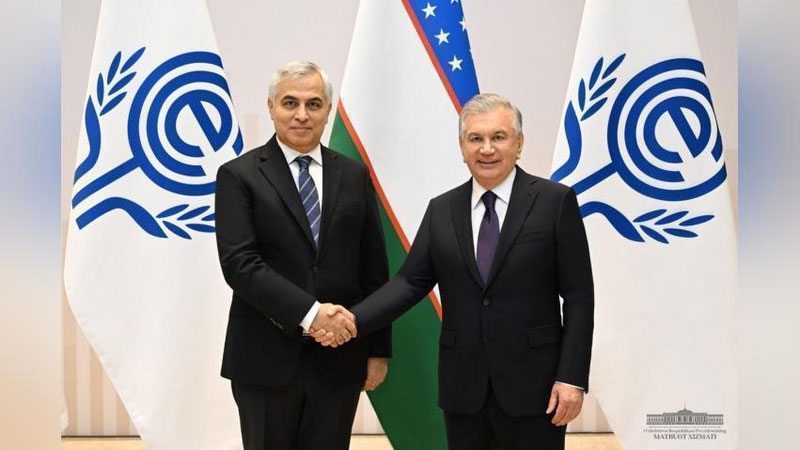 Изрображение 'Президент Узбекистана принял Генсека Организации экономического сотрудничества'