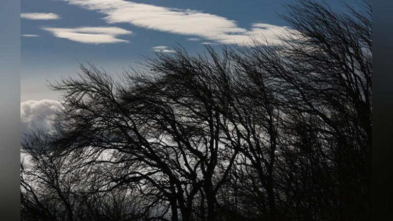 'Dam olish kunlari Kaspiy dengizi hududlaridan nam va salqin havo masasi kirib kelishi kutilmoqda — "O`zgidromet"'ning rasmi