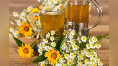 'МОЙЧЕЧАКДАН ДАМЛАМАЛАР 'ning rasmi