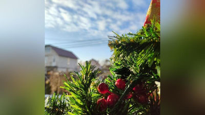 Изрображение 'Узгидромет отреагировал на панические сообщения в соцсетях о новой волне аномальных холодов'