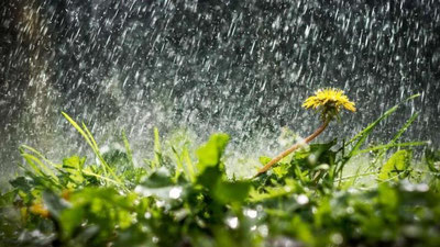 'Bugun O`zbekistonning ba`zi joylarida yomg`ir kuchayib, momaqaldiroq bo`lishi mumkin'ning rasmi