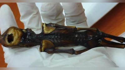 '“Ўзга сайёралик” боланинг сири фош бўлди (Фото)'ning rasmi