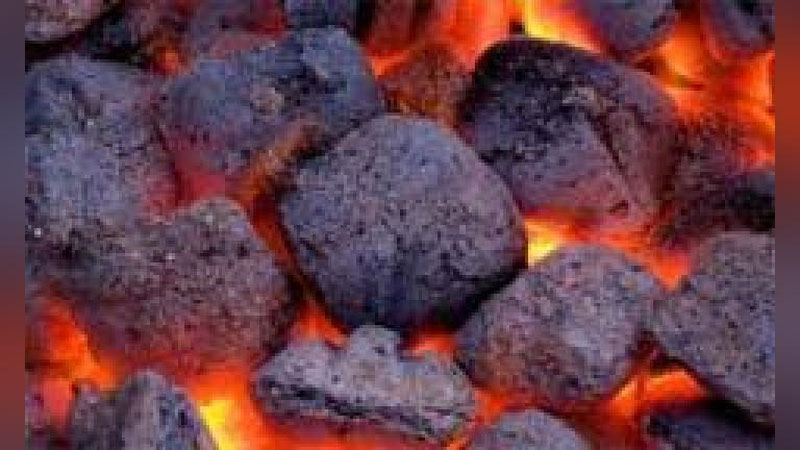 'BIR OILA QANChA KO`MIR OLIShI MUMKIN?'ning rasmi