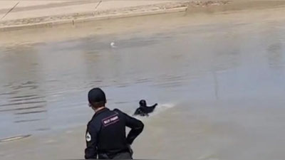 Изрображение 'В Ургенче нацгвардейцы спасли бросившуюся в канал женщину (видео)'