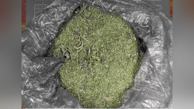 'Chiroqchida fuqaroning uyidan 5 kg mariuxana topildi'ning rasmi