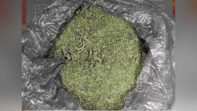 'Chiroqchida fuqaroning uyidan 5 kg mariuxana topildi'ning rasmi