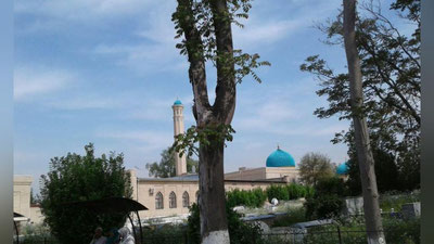 'Toshkent viloyatidagi betakror go`shalar sayyohlarga muntazir'ning rasmi