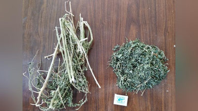 'Xonadon quyonxonasiga nima yashirilgan edi?'ning rasmi