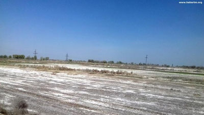 'Turkmanistonning Dasho`g`uz viloyatini tuz bo`roni qamrab oldi'ning rasmi