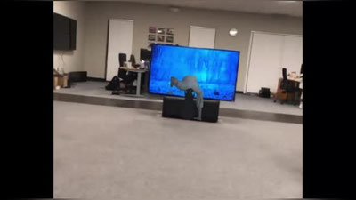 Изрображение 'ПРОГРАММИСТ ВЫТАЩИЛ ИЗ ТЕЛЕВИЗОРА ПРОКЛЯТУЮ ДЕВОЧКУ ИЗ ХОРРОРА "ЗВОНОК" (ВИДЕО)'