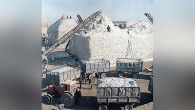 'Paxtani qo`shib yozmoqchi bo`lgan xorazmlik “uddaburonlar” ushlandi'ning rasmi