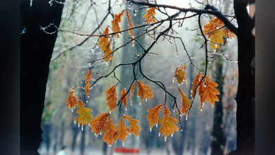 'Ertaga O`zbekistonda havo harorati 0 gradusgacha pastlaydi'ning rasmi