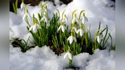 'O`zbekistonga qisqa muddatga qish qaytadi — "O`zgidromet"'ning rasmi