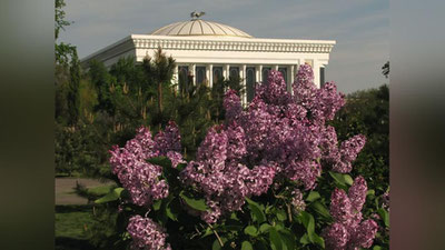 '9 апрель куни қандай об-ҳаво кузатилади?'ning rasmi