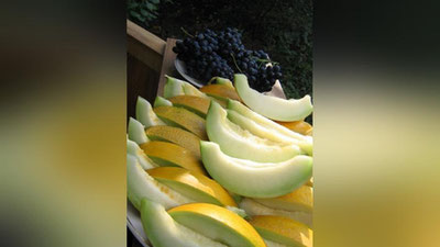 Изрображение 'ХОРЕЗМ ПРИГЛАШАЕТ НА ЯРМАРКУ ДЫНЬ'